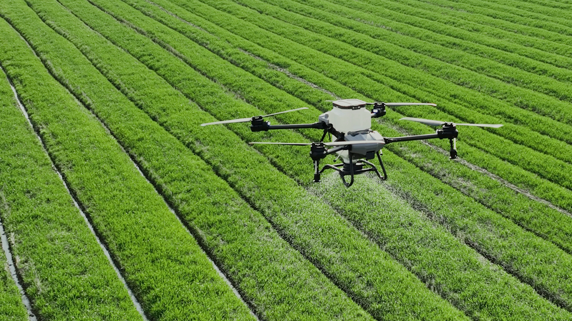 Vilka produkter kan jag anmäla?