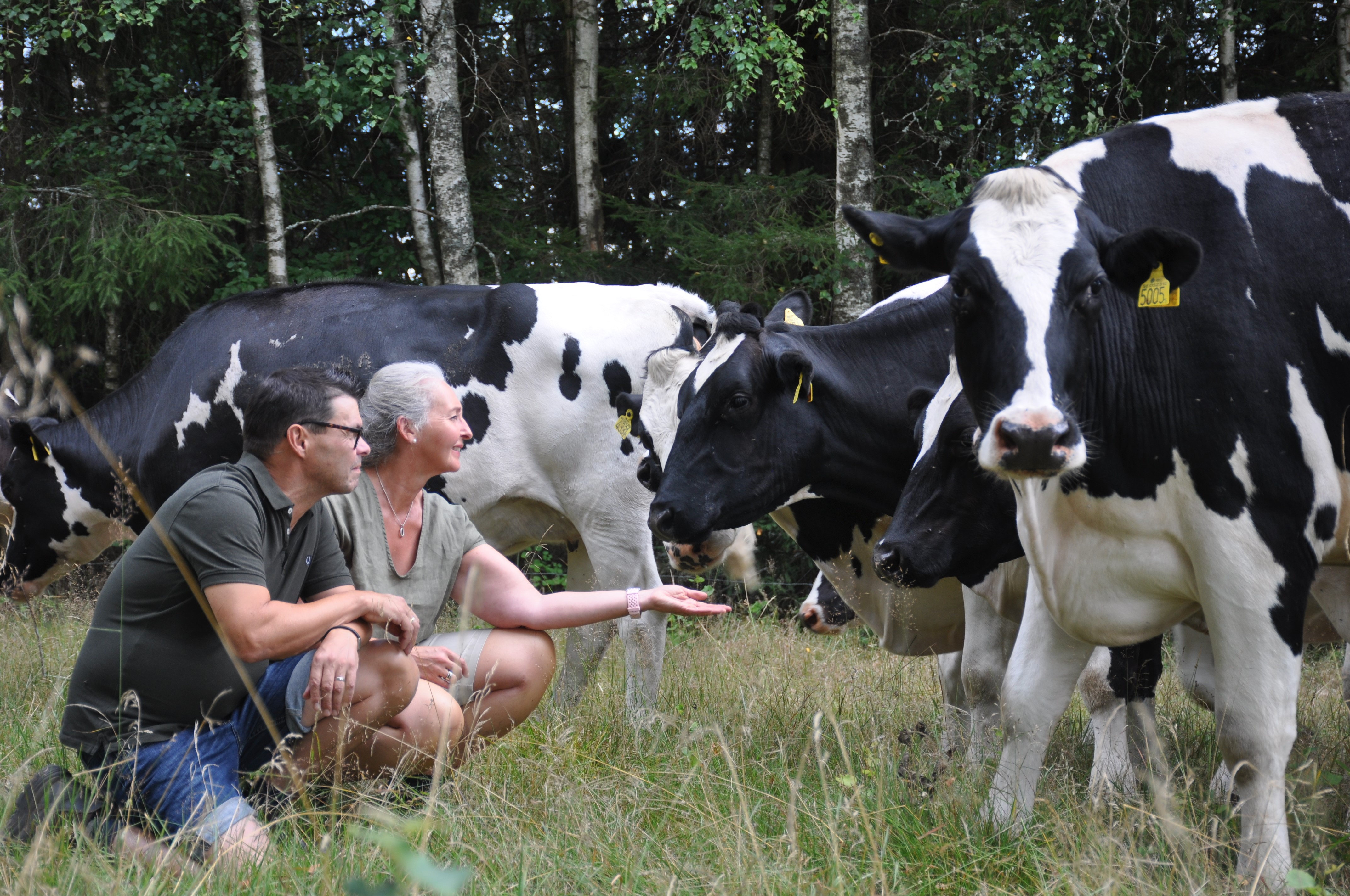 Klimatsmarta lantbrukare – kopensionat som jobbar med klimatfrågor i många led