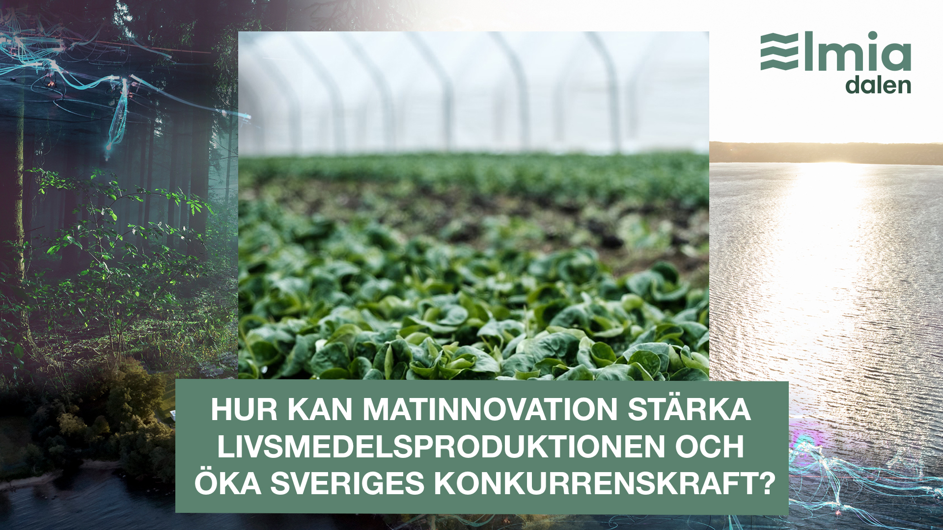 Hur kan matinnovation stärka livsmedelsproduktionen och öka Sveriges konkurrenskraft?