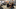 /globalassets/bilder/massor/nordic-profile-fair/aug-2026/intemporel_1920_1080.jpg