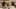 /globalassets/bilder/massor/nordic-profile-fair/npf_aug_1920.jpg