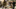 /globalassets/bilder/massor/nordic-profile-fair/npf_monter_1920.jpg