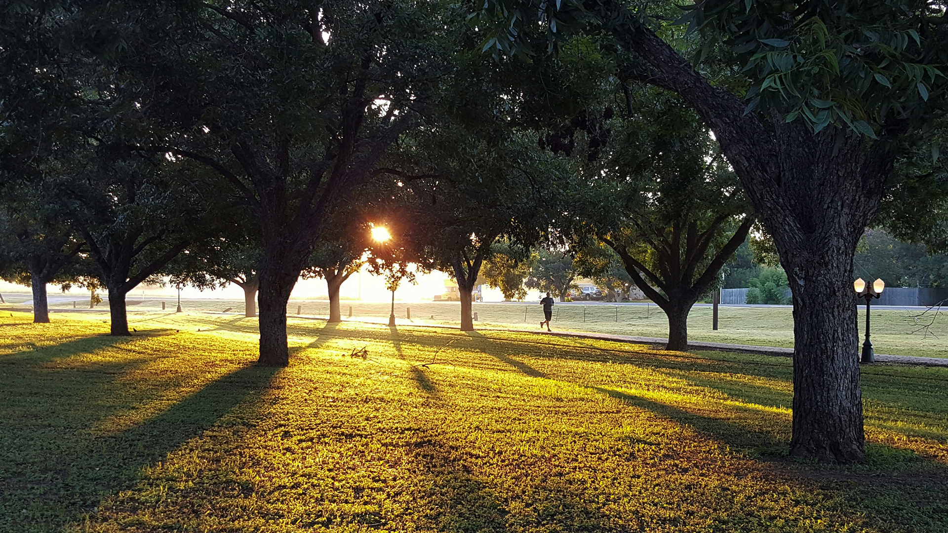 Alla kan anmäla en park