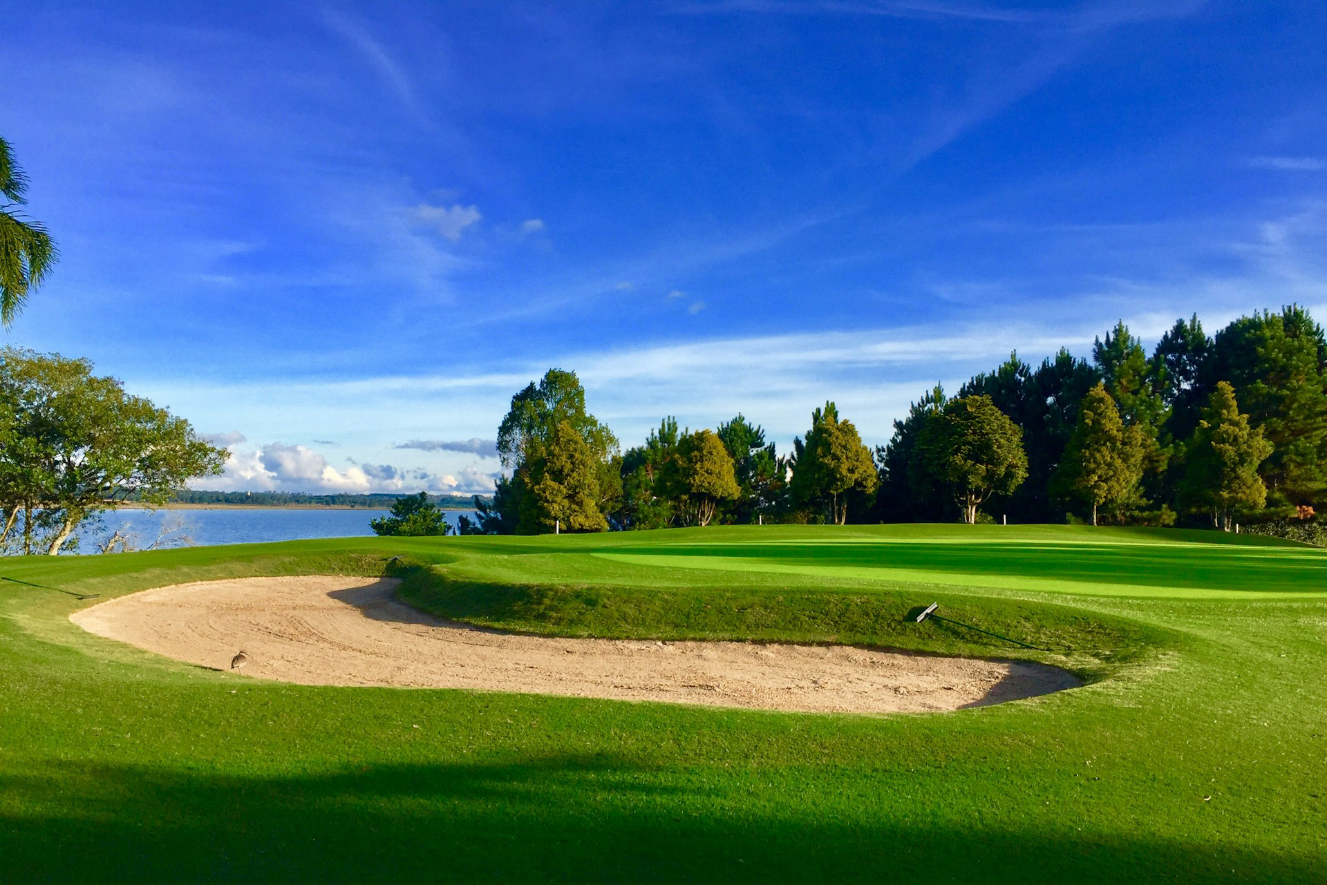 Givande seminarier för dig inom golfen