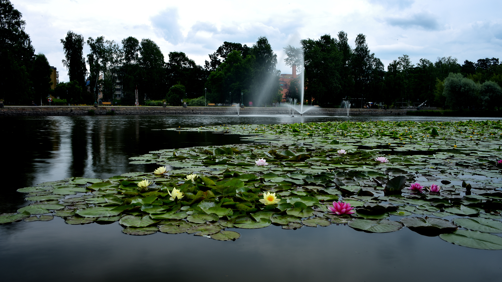 DSC_3690.JPG