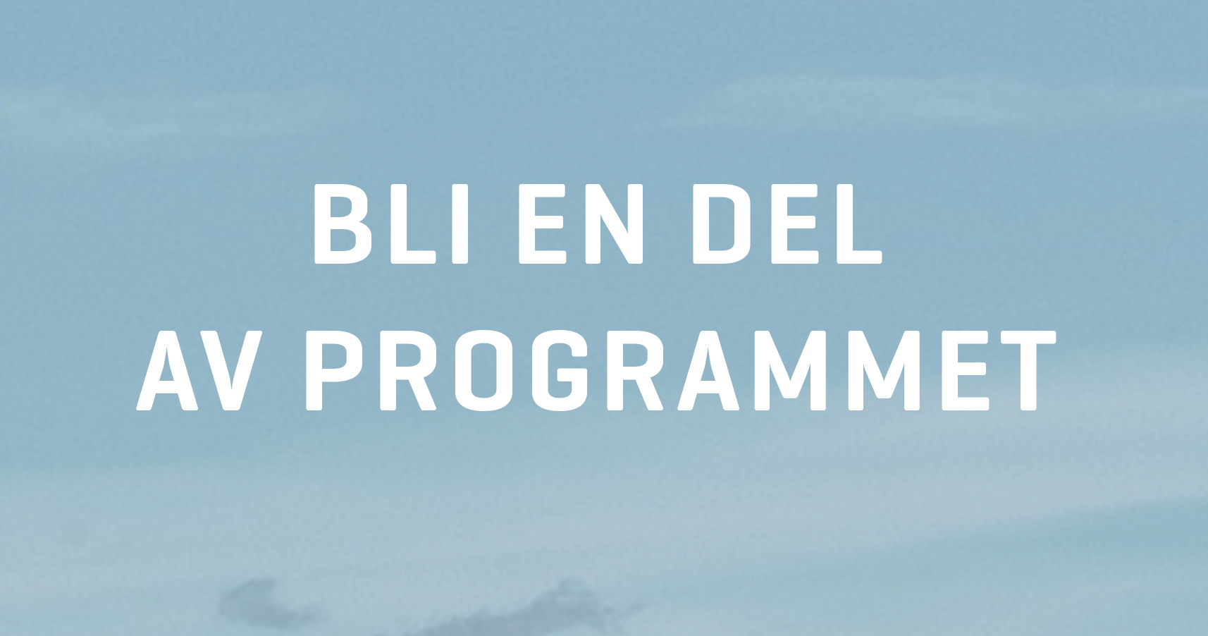 Program v 41.jpg