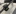 /globalassets/bilder/massor/subcontractor/2021/artiklar/jelmtech-svep2.jpeg