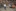 /globalassets/bilder/massor/subcontractor/2021/artiklar/michael-jonsson-vd-ad-plast-ab..jpg