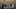Sömlös digital medarbetarupplevelse boostar industrin