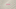 /globalassets/bilder/massor/subcontractor/2025/smart/headbanner_smal_3840x2160_smartbysubcontractor.jpg