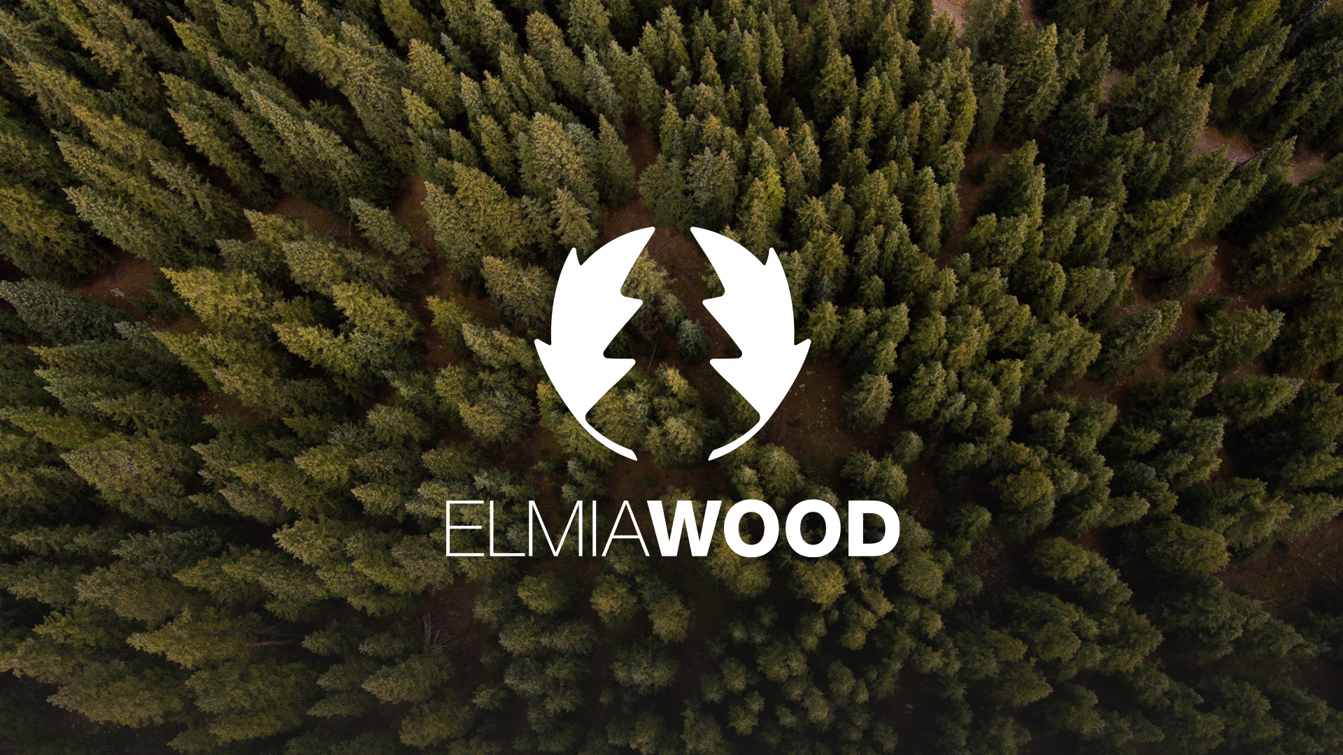 Elmia Wood