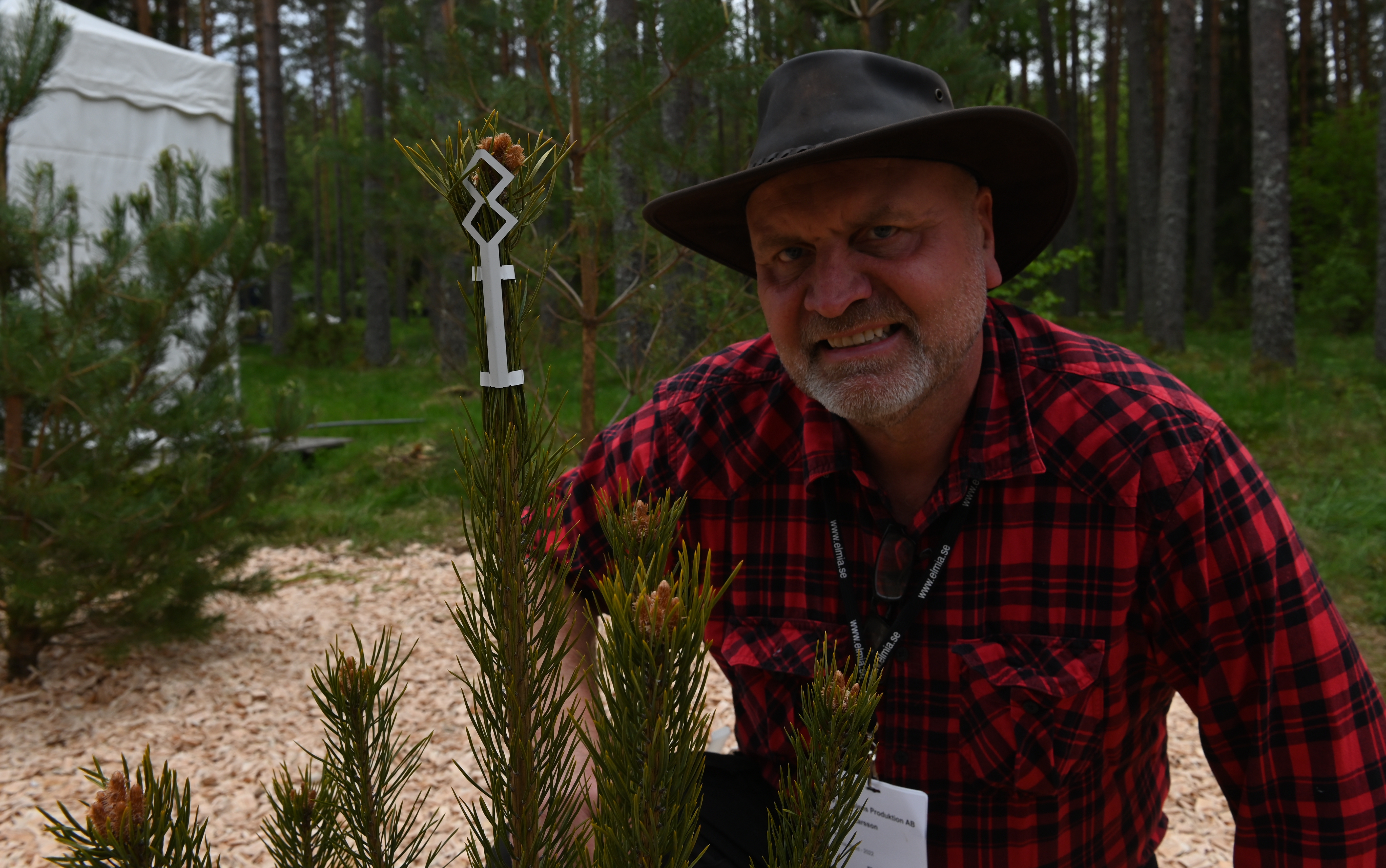 Johan tröttnade på älgskadorna -	utvecklade tallskydd.se