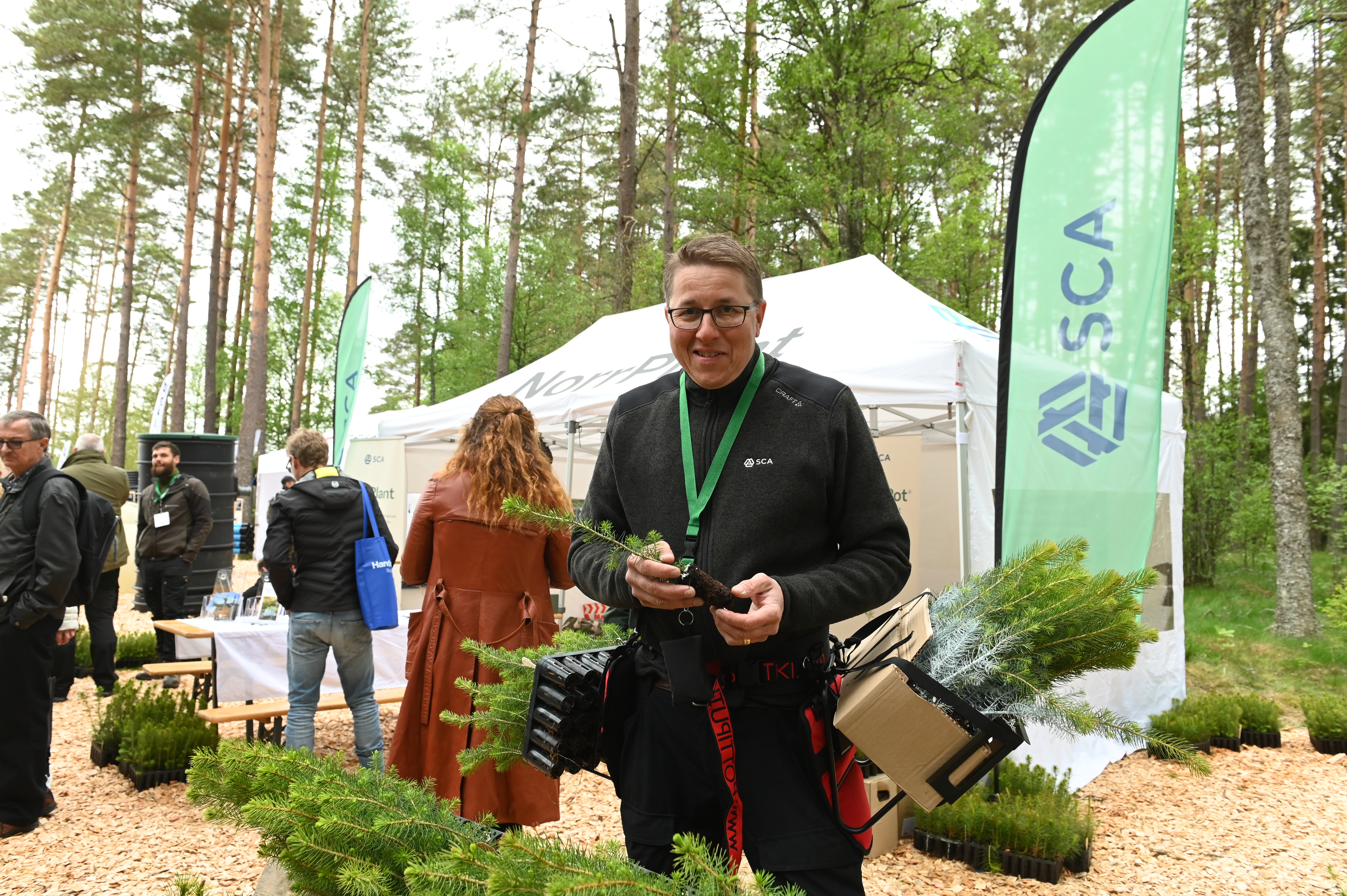 NorrPlant looks south