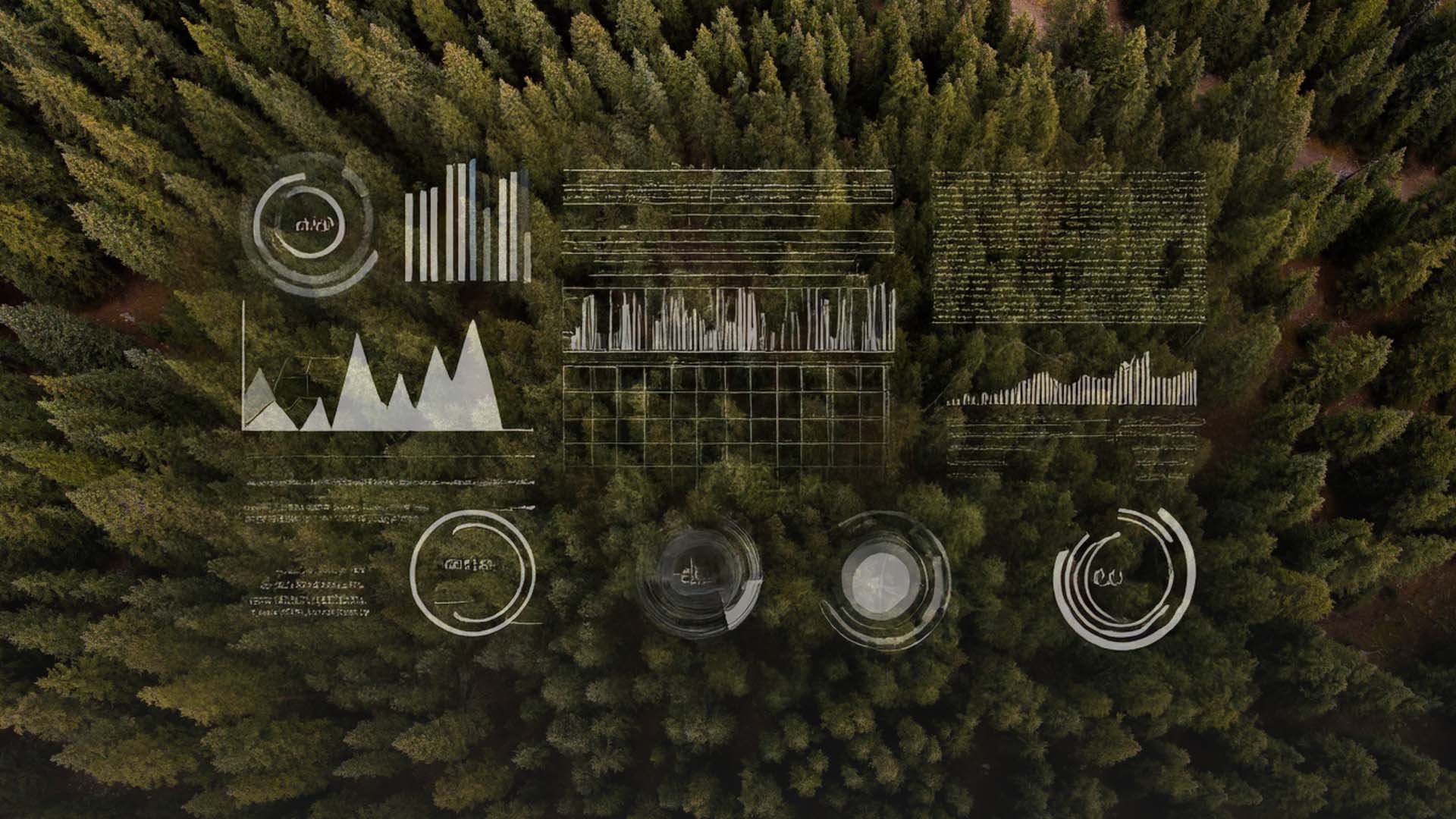 Årets tema: AI och innovation för framtidens skogsbruk