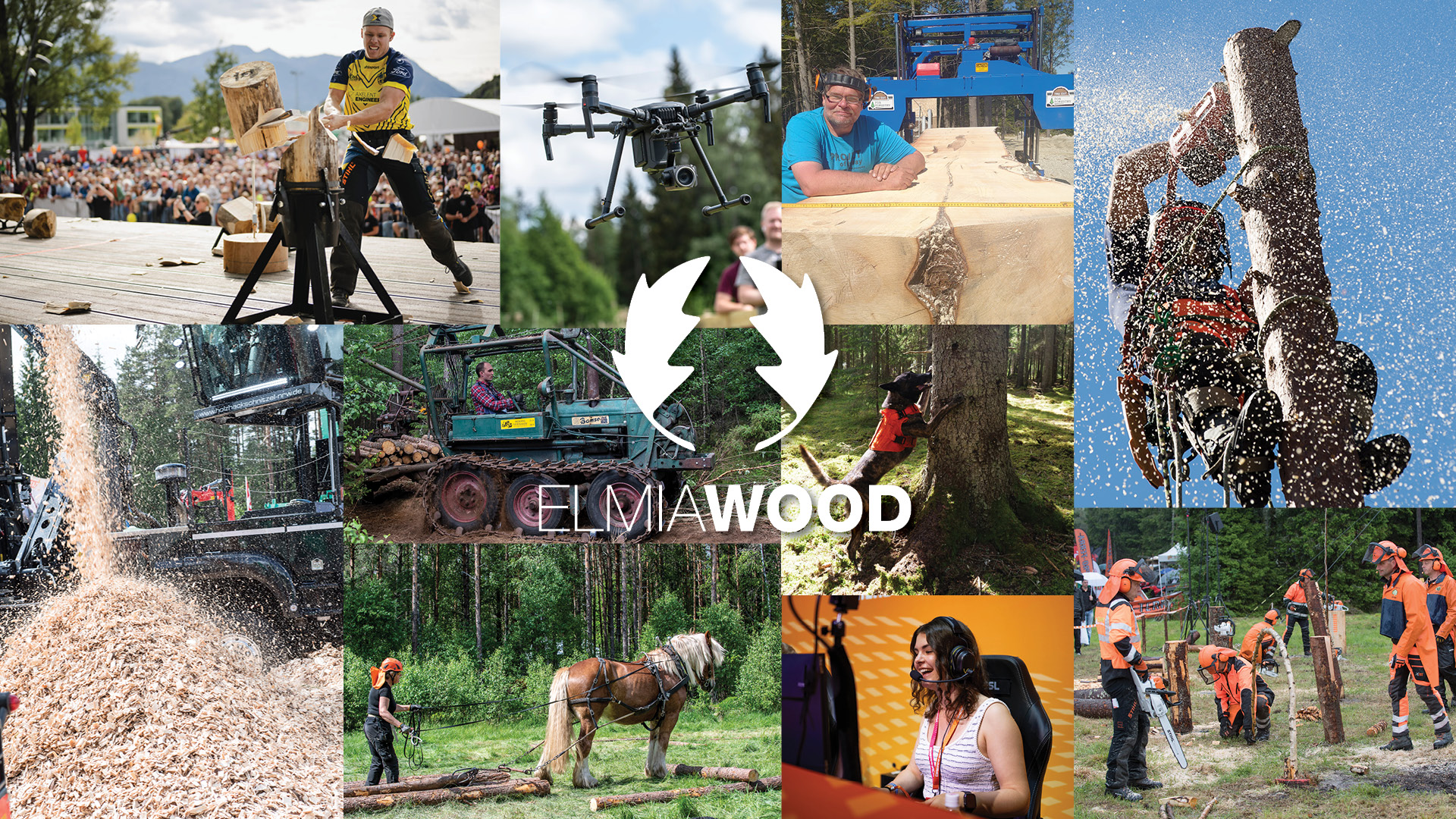 Dagsprogrammet för Elmia Wood 2025 är släppt – planera din dag i skogen