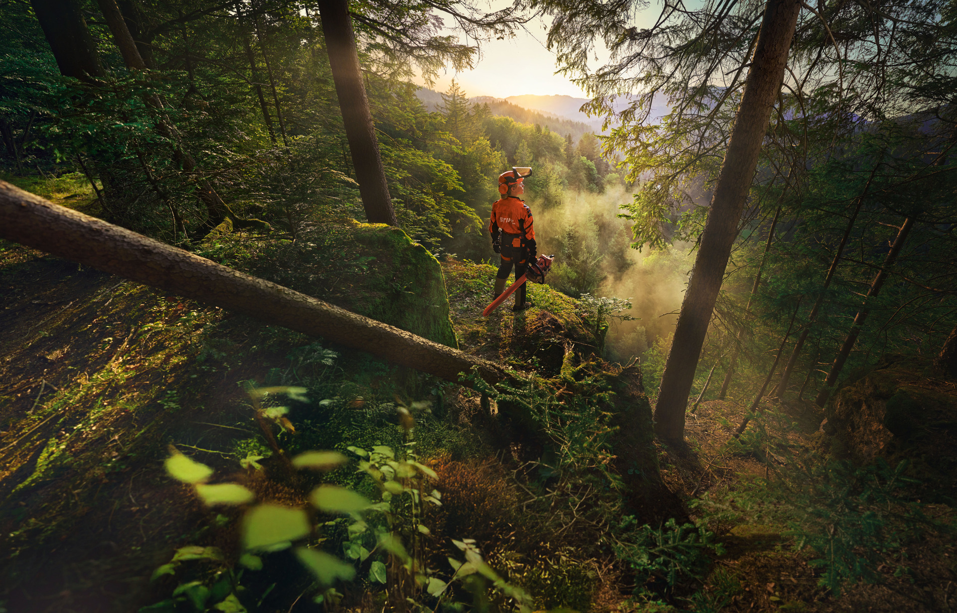 STIHL firar 100 år med fokus på innovation och användarnas behov